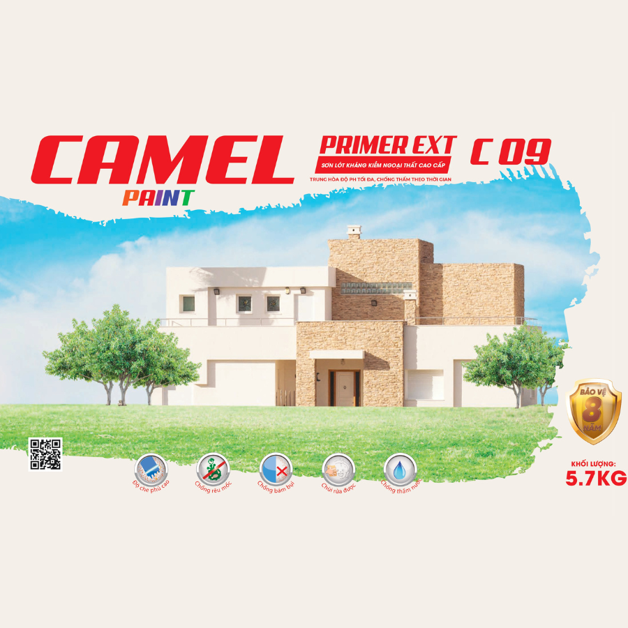 CAMEL C 09