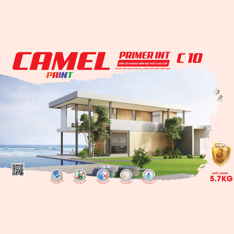 CAMEL C10