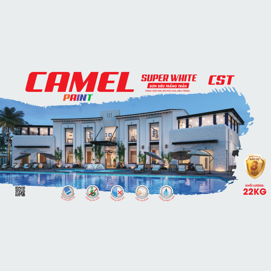 CAMEL CSTT
