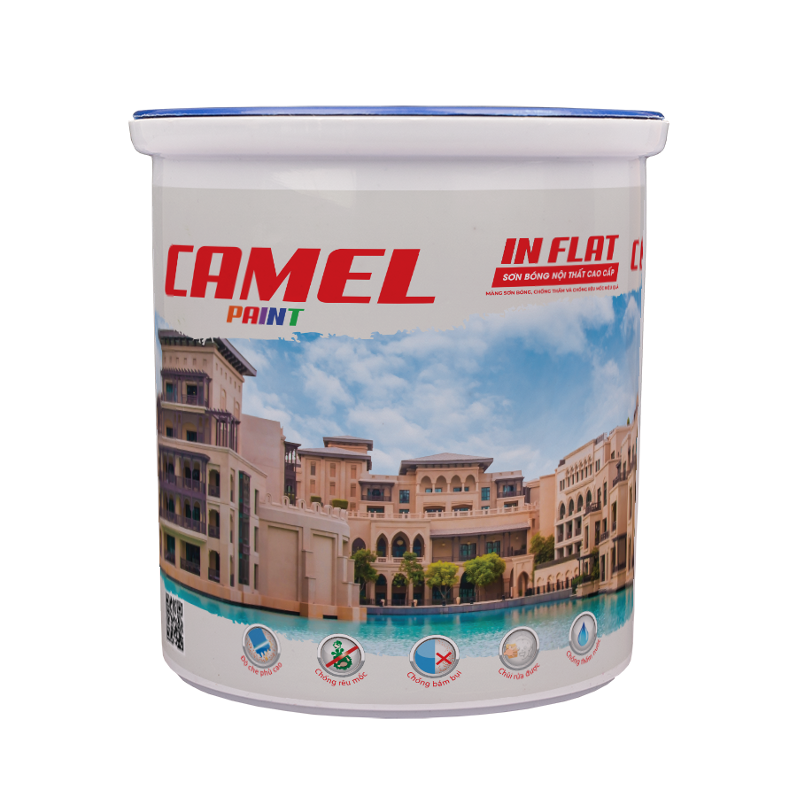Camel Lít C05