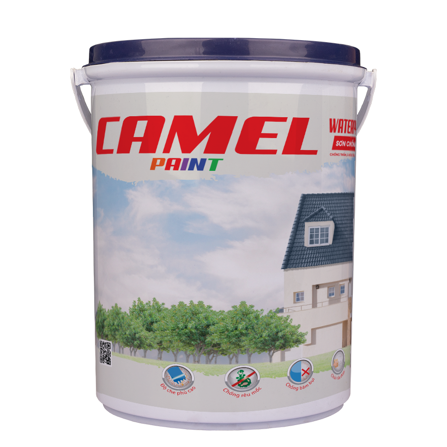 Camel Lon C - CT07