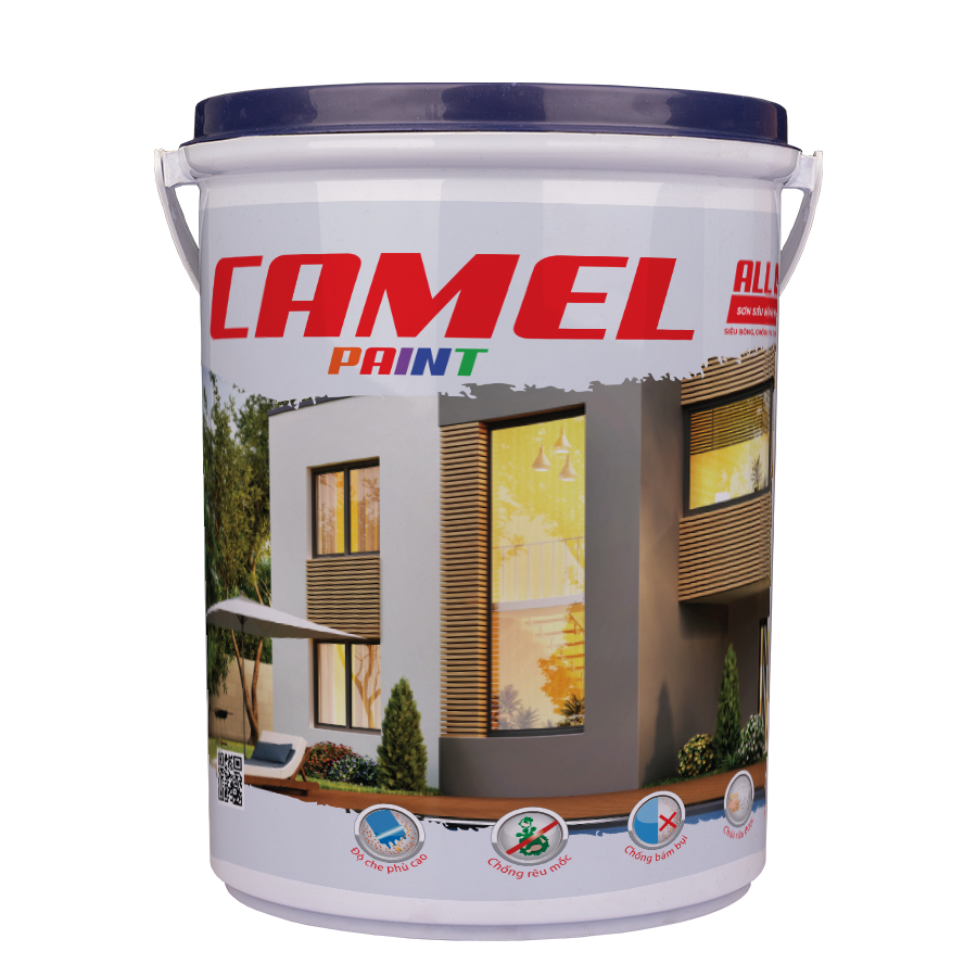 Camel Lon C01