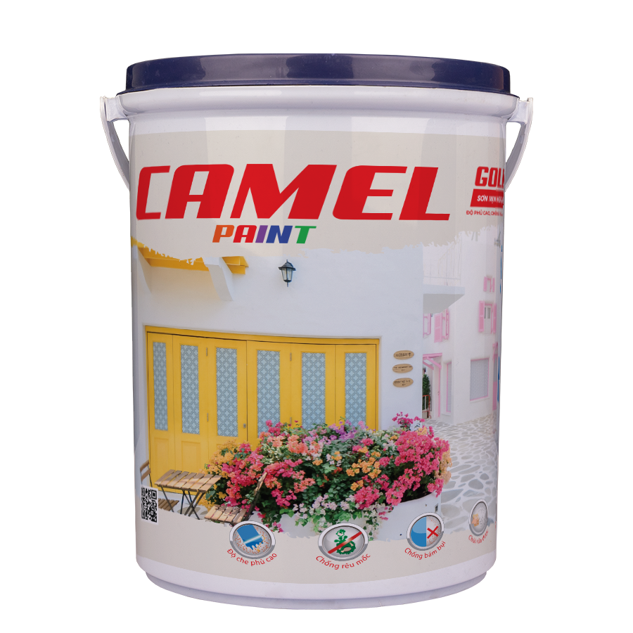 Camel Lon C03