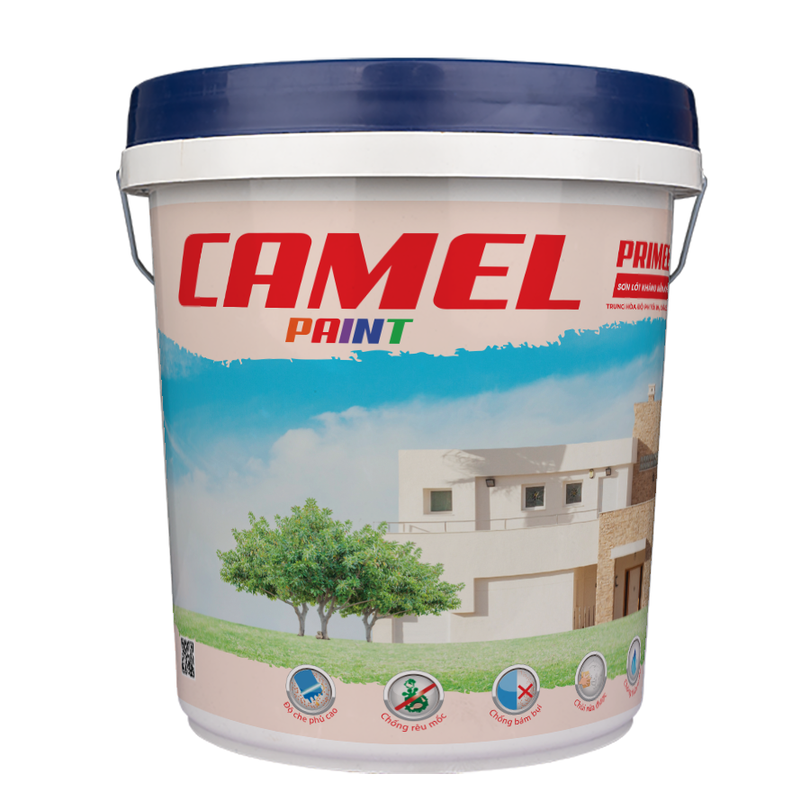 Camel Thùng C10
